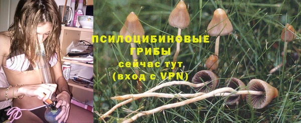 хмурый Шарыпово