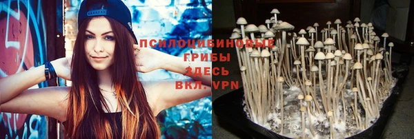 apvp Шадринск