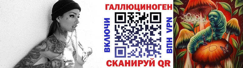 Купить закладки  Северо-Курильск  Псилоцибиновые грибы Psilocybine cubensis 